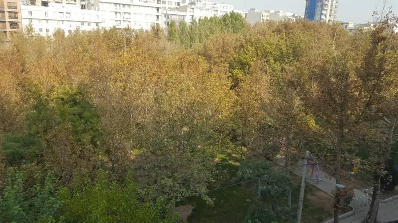 image 149 متر رو به آفتاب کم واحد 1